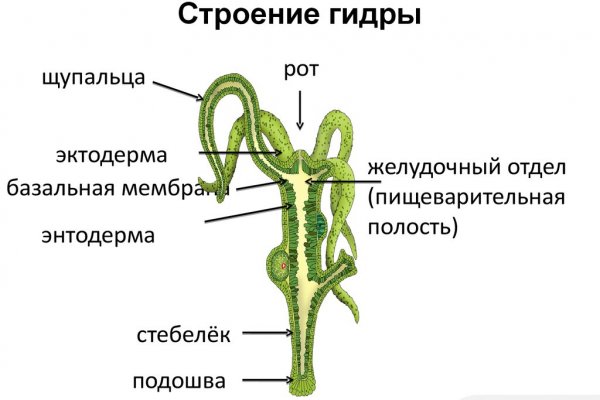 Омг tor