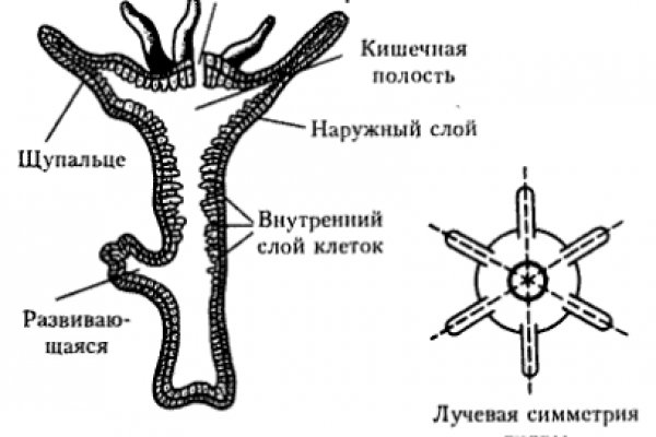 Актуальное зеркало на omg